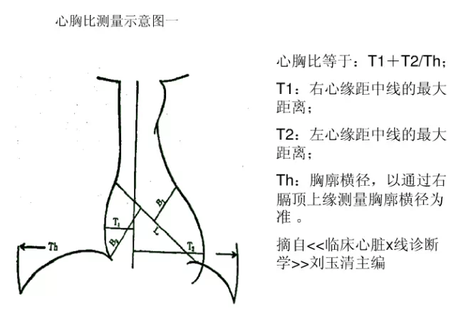 心影演员表(心影是什么部位)