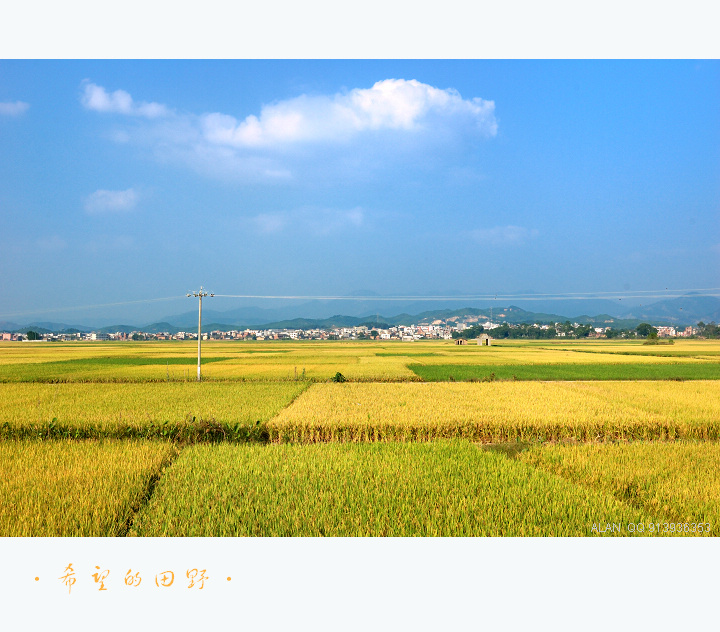 希望的田野(歌曲雄赳赳气昂昂)